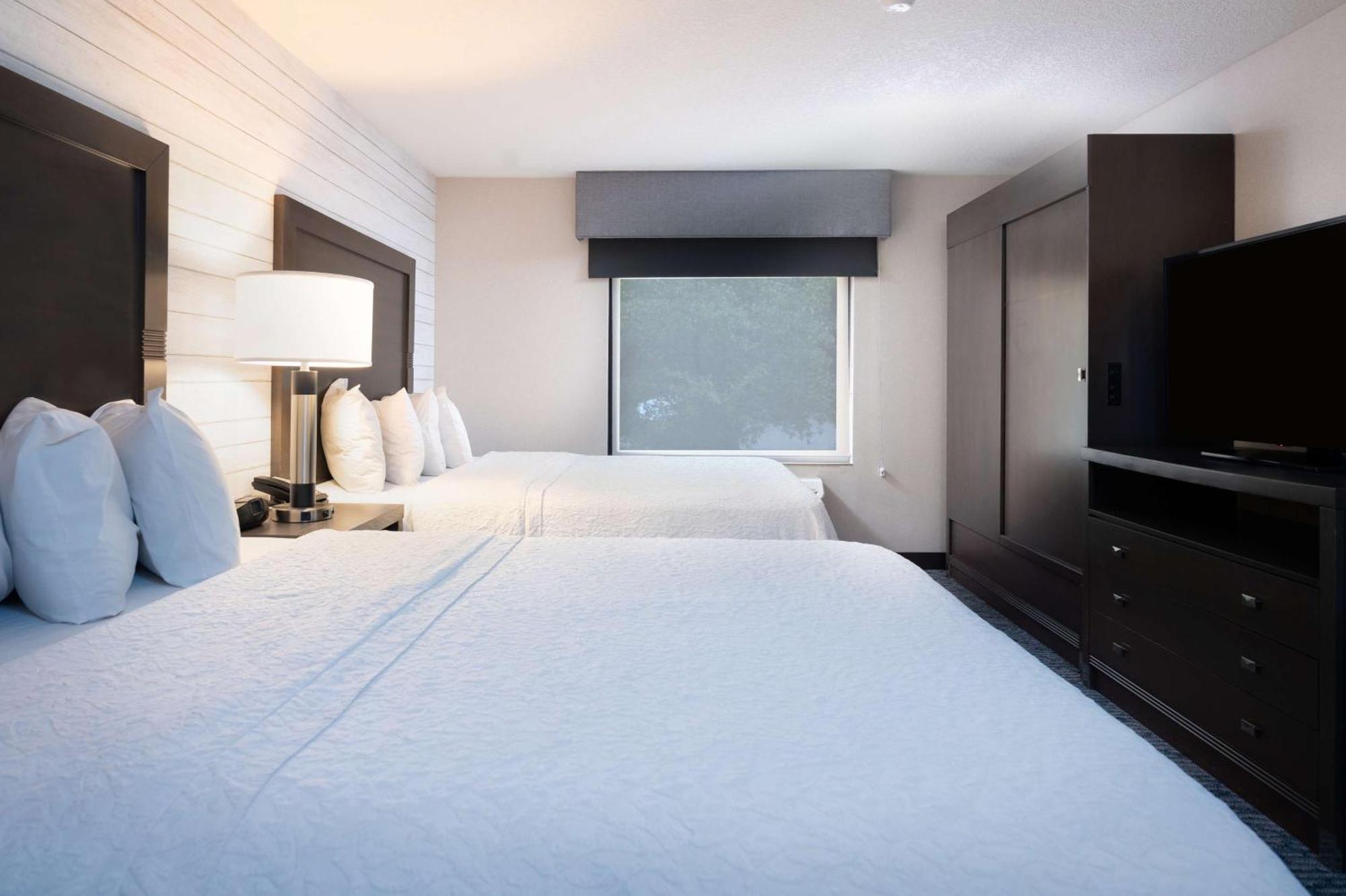 Queen Suite with Sofa Bed - Non-Smoking